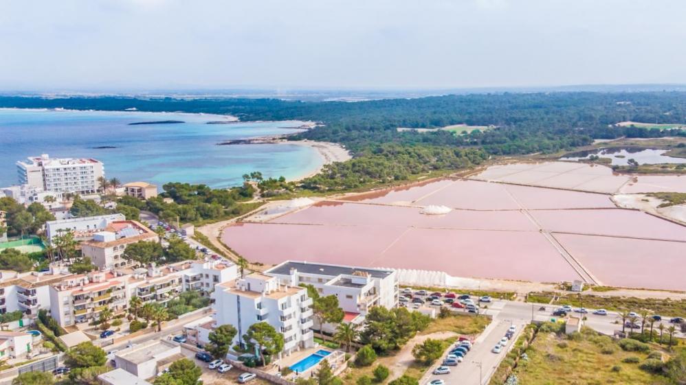 Foto: Miquel Mulet Pons 